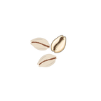 Three cowrie shells on a white background
